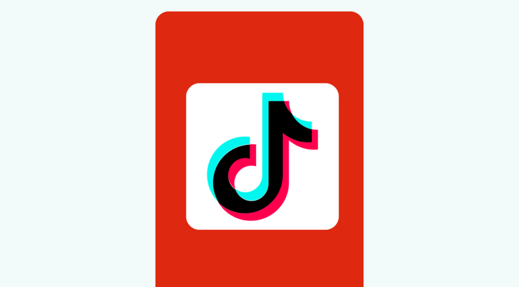 National Security Concerns: Lessons from TikTok